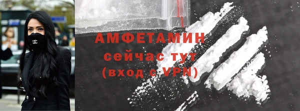 крисы Магас