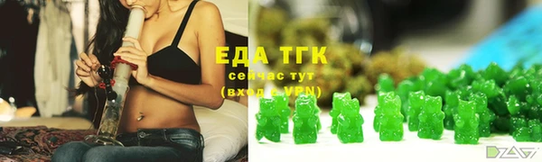 крисы Магас