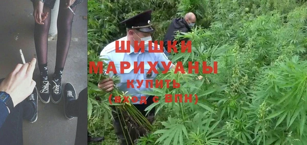 крисы Магас
