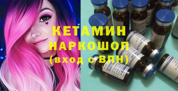 крисы Магас